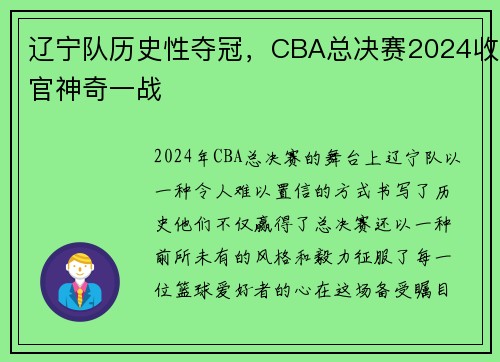 辽宁队历史性夺冠，CBA总决赛2024收官神奇一战